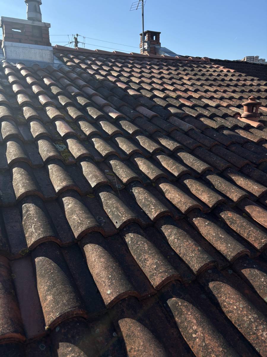 Traitement avec démoussant pour maison à Muret (31), Haute Garonne